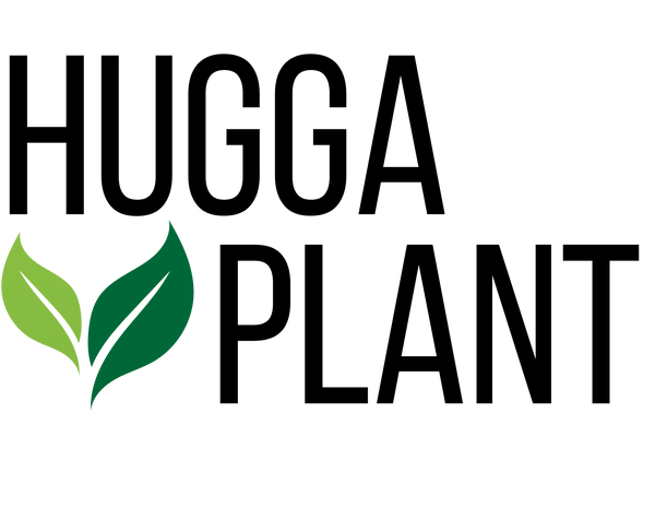 Hugga Plant