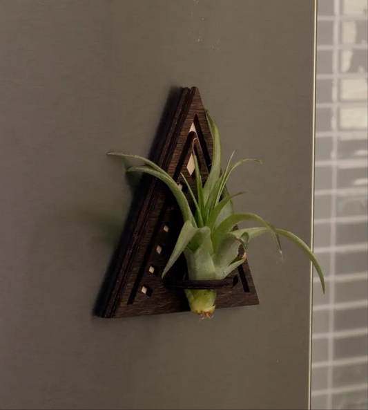 Wood Air Plant Holder Magnet